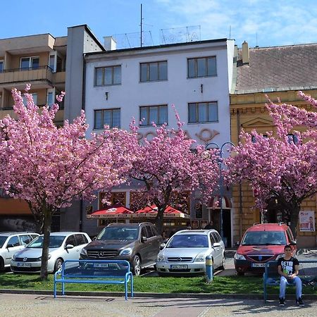 Hotel Posta Дечин Экстерьер фото