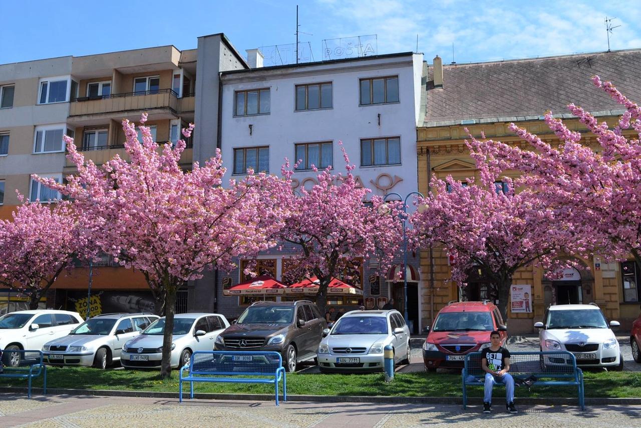 Hotel Posta Дечин Экстерьер фото